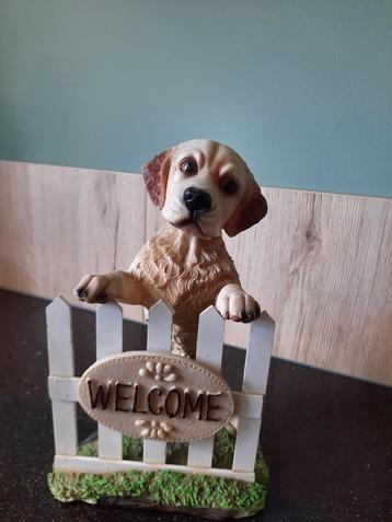 welcome hondje op hek beschikbaar voor biedingen