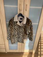 Te kopp meisjes jas DKNY geen namaak maat 10 / s, Ophalen of Verzenden, Zo goed als nieuw, Maat 34 (XS) of kleiner, Bruin