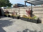 Verhoogde houten plantenbakken – met beplanting – €100 p.s., Tuin en Terras, Ophalen, Gebruikt, 100 cm of meer, Tuin