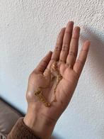 Pisces ketting roestvrij, Verzenden, Nieuw, Goud