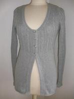 HEMA vest grijs maat S, Kleding | Dames, Truien en Vesten, Maat 38/40 (M), Ophalen of Verzenden, Zo goed als nieuw, Grijs