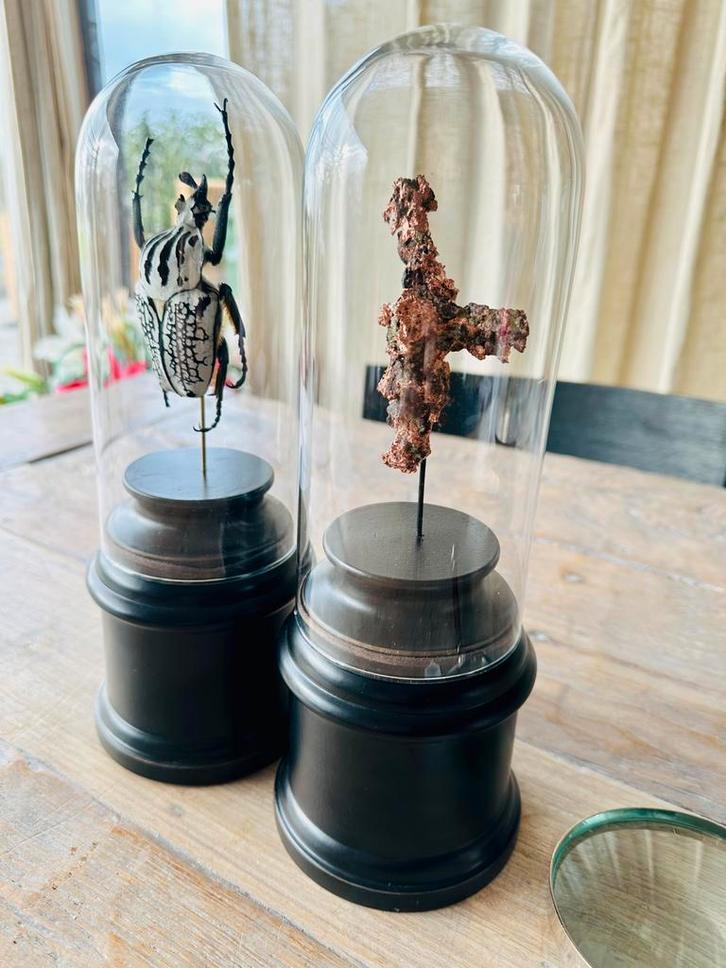 Stolpen mini stolp in vitrinekast display cabinet 2 stuks, Huis en Inrichting, Woonaccessoires | Stolpen, Gebruikt, Ophalen of Verzenden