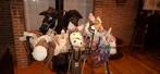 10 hobby horses(stokpaardjes), Ophalen of Verzenden, Nieuw