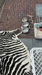 Totaalpakket voor een puppy/hond (ren, hok, benches etc)., Dieren en Toebehoren, Hondenhokken, Ophalen, Minder dan 65 cm, Hondenhok