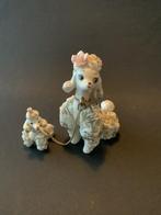 Schattig setje poedels, Ophalen, Zo goed als nieuw, Dier