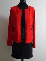 Mooie NickJean rok maat 40, Kleding | Dames, Rokken, Maat 38/40 (M), Zwart, Nieuw, Ophalen of Verzenden