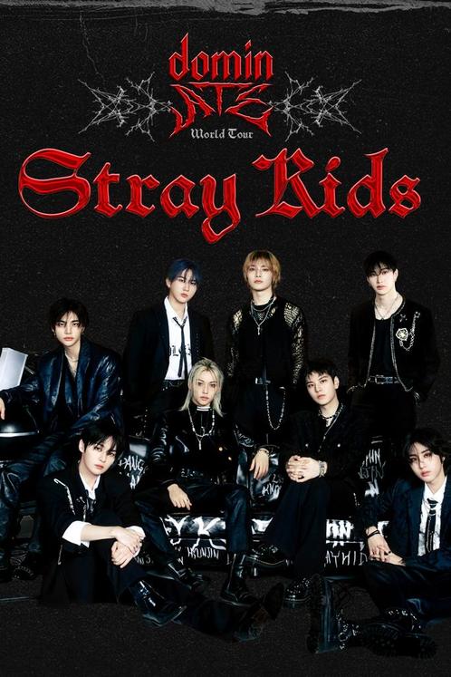 Stray Kids concert Amsterdam 11/7/25, Tickets en Kaartjes, Concerten | Pop, Eén persoon, Juli