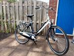 Batavus vivente, 53 tot 56 cm, Ophalen of Verzenden, Zo goed als nieuw, Batavus