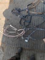 Pony halsterrs, Ophalen of Verzenden, Gebruikt, Overige soorten