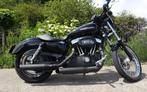 Harley Davidson xl 1200 Sportster Custom, 2 cilinders, Chopper, Particulier, 1200 cc