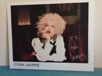 CYNDI LAUPER SINGER SONGWRITER ACTRESS, Ophalen of Verzenden, Nieuw, Foto of Kaart, Gesigneerd