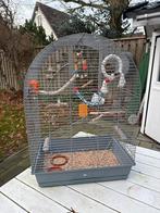 Vogelkooi, Ophalen of Verzenden, Metaal, Vogelkooi