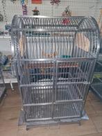 Ruime rvs kooi, nog 2 van dit model, Dieren en Toebehoren, Vogels | Hokken en Kooien, Ophalen, Nieuw, Metaal, Vogelkooi