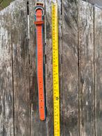 Hondenhalsband 37.5 cm, Dieren en Toebehoren, Ophalen of Verzenden, Zo goed als nieuw