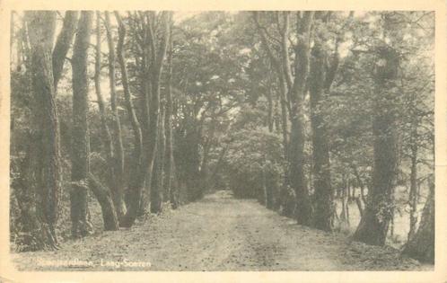 (379-188-011) Laag Soeren Spanjaardlaan, Verzamelen, Ansichtkaarten | Nederland, Gelderland, Verzenden