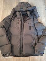 AB lifestily winterjas, Kleding | Heren, AB Lifestyle, Ophalen of Verzenden, Grijs, Gedragen