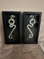 Twee lijsten met een slangen skelet, Ophalen of Verzenden, Nieuw, Reptiel of Amfibie, Opgezet dier