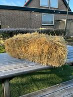 Kleine strobalen te koop, Dieren en Toebehoren, Dierenvoeding, Ophalen, Vee