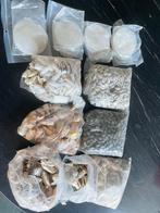 Schelpen, Ophalen, Nieuw