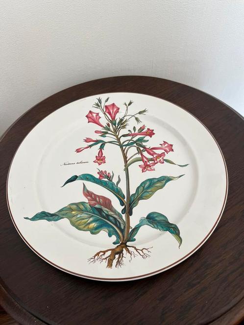 Villeroy en Boch; Botanica; diverse items, Antiek en Kunst, Antiek | Servies los, Ophalen