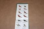 Zeldzaam. Reader's Digest Vestzak Vogelgids., Ophalen of Verzenden, Gelezen, Vogels
