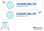 Vrachtauto decal 1:50 Scandiflora bv ( trailer ), Hobby en Vrije tijd, Modelauto's | 1:50, Verzenden, Nieuw, Bus of Vrachtwagen
