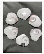 6 x Shiva’s Eye Harten, prijs per stuk, Nieuw, Ophalen of Verzenden, X, X