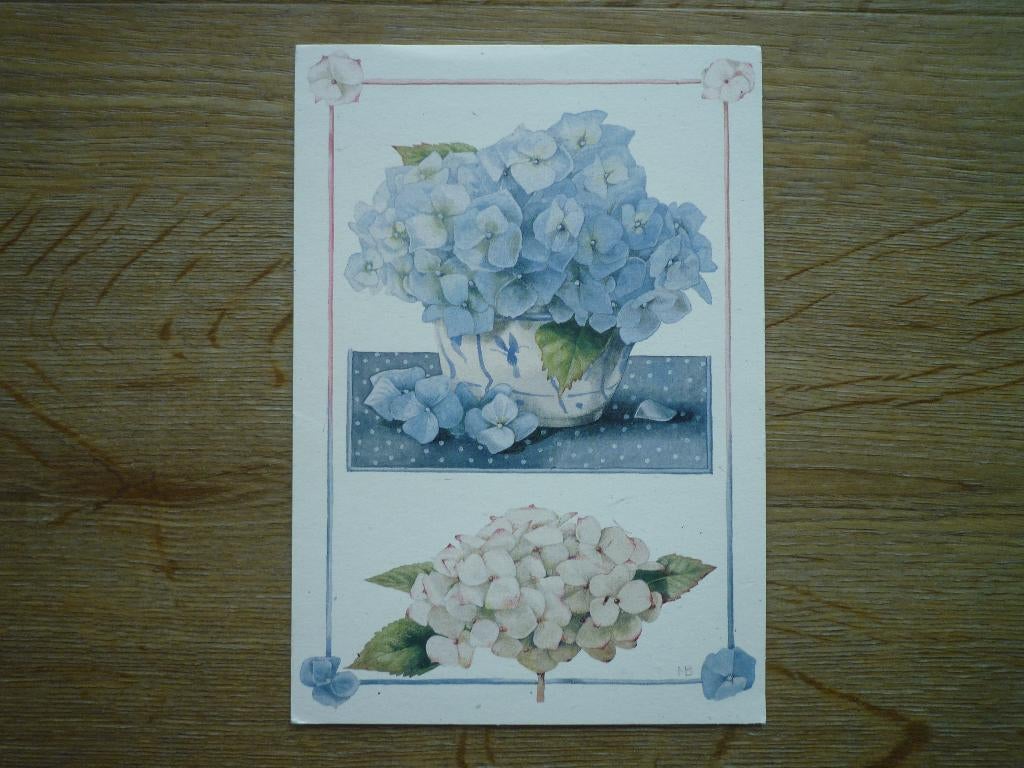 Hortensia bloemen Marjolein Bastin, Ophalen of Verzenden, 1980 tot heden, Sterren en Beroemdheden