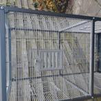 Kamer voliere/ parkieten kooi, Ophalen, Zo goed als nieuw, Metaal, Vogelkooi