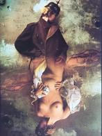 Boek: Jan Saudek, vie mort amour et autres bagatelles., Boeken, Kunst en Cultuur | Fotografie en Design, Ophalen of Verzenden