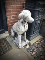 Tuinbeeld jachthond  - pointer - ridgeback - beeld - beton, Tuin en Terras, Nieuw, Beton, Ophalen, Dierenbeeld