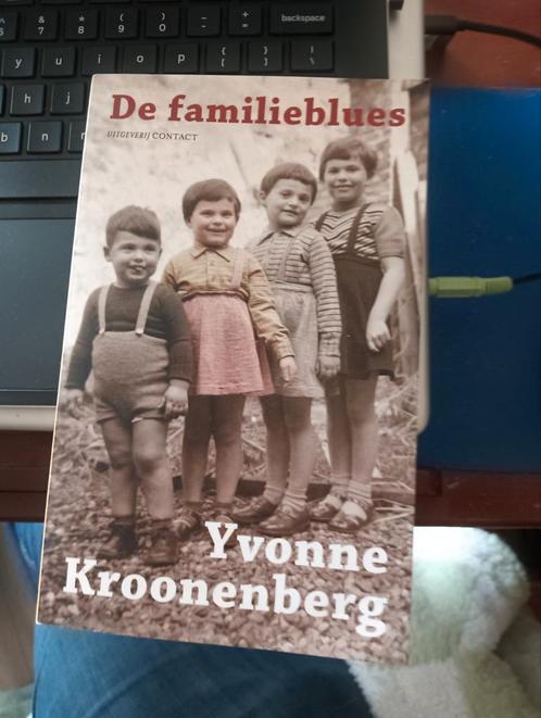 Yvonne Kroonenberg - De familieblues, Boeken, Literatuur, Zo goed als nieuw, Ophalen of Verzenden
