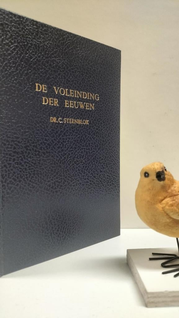 Steenblok, Dr. C.; De voleinding der eeuwen, Boeken, Ophalen of Verzenden, Gelezen, Christendom | Protestants
