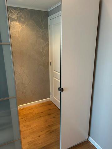 Pax Aheim deur spiegelglas 50x201 beschikbaar voor biedingen
