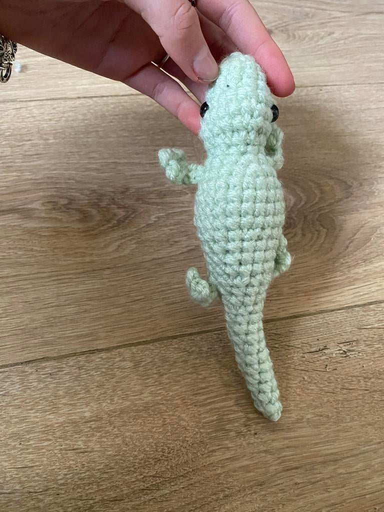 Gehaakte Salamander van Acryl Garen, Ophalen of Verzenden, Nieuw, Haken, Overige typen