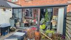 Kleur: antraciet, merk:gumax ., Tuin en Terras, Overkappingen, Ophalen, Zo goed als nieuw, Serre