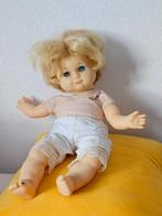 Schildpadpop, Ophalen of Verzenden, Gebruikt, Pop