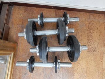 dumbbells beschikbaar voor biedingen
