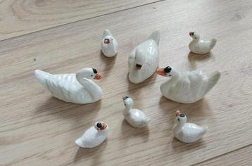 zwanen (verzamelaar) beschikbaar voor biedingen