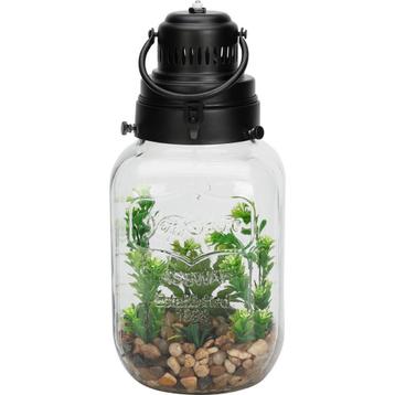 Glazen fles met kunstplant en verlichting beschikbaar voor biedingen