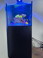 Red Sea Reefer G2+ 200 XL | 1 jaar oud | compleet |, Dieren en Toebehoren, Vissen | Aquaria en Toebehoren, Ophalen, Zo goed als nieuw