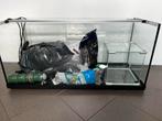 Eheim aquarium en toebehoren, Dieren en Toebehoren, Vissen | Aquaria en Toebehoren, Ophalen, Gebruikt, Leeg aquarium