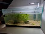 Aquarium 80x40x40, Ophalen, Leeg aquarium