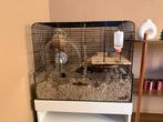 Hamsterhok + kastje, Dieren en Toebehoren, Minder dan 60 cm, Minder dan 75 cm, Ophalen of Verzenden, Zo goed als nieuw