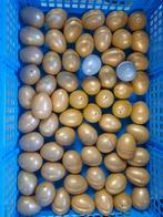 61 Gouden & 2 Zilveren Plastic Deelbare Eieren, Ophalen of Verzenden, Zo goed als nieuw
