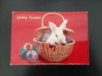 wit konijn in mandje, eieren, gelopen, 1964., Verzamelen, Ansichtkaarten | Dieren, Verzenden, 1960 tot 1980, Gelopen, Knaagdier