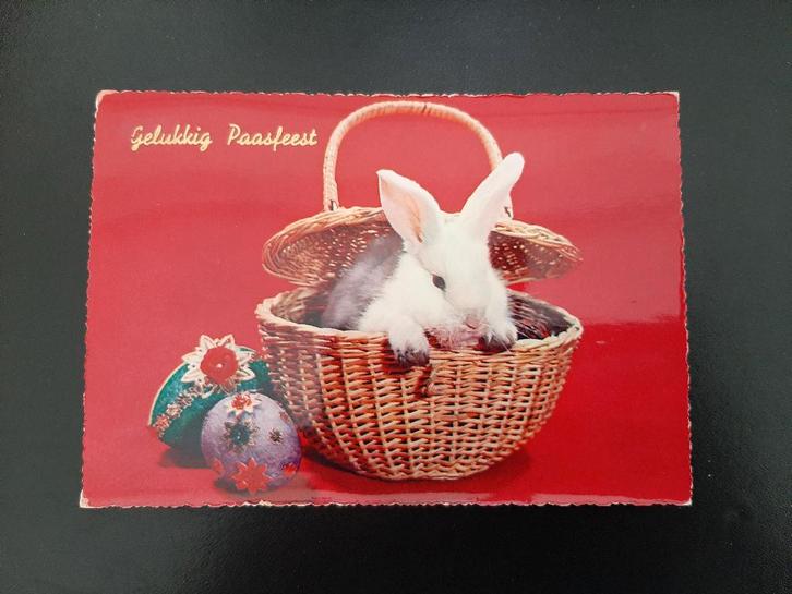 wit konijn in mandje, eieren, gelopen, 1964., Verzamelen, Ansichtkaarten | Dieren, Gelopen, 1960 tot 1980, Knaagdier, Verzenden