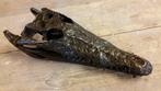 Brons / SCHEDEL van een KROKODIL / nieuw/ €149,-, Ophalen of Verzenden, Nieuw, Wild dier