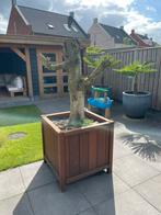 Bloembakken teak hout 80x80x80 cm., Ophalen, Gebruikt, Hout