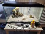 Ciano 60 LED CF80 Aquarium incl toebehoren, Dieren en Toebehoren, Ophalen, Zo goed als nieuw, Leeg aquarium